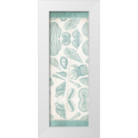 Sea Shells White Modern Wood Framed Art Print by Villa, Mlli