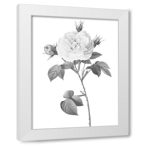 Greyscale Floral Two White Modern Wood Framed Art Print by Villa, Mlli