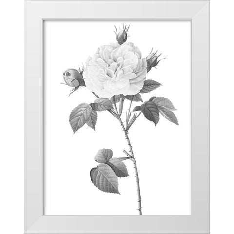 Greyscale Floral Two White Modern Wood Framed Art Print by Villa, Mlli