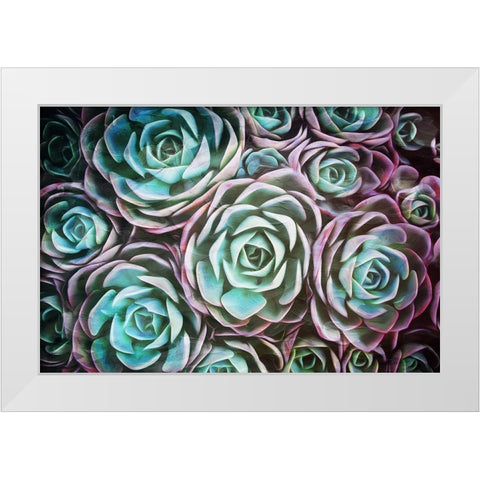 Dark Blend White Modern Wood Framed Art Print by Villa, Mlli