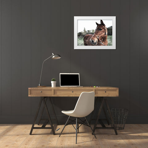 Horse Pose White Modern Wood Framed Art Print by Villa, Mlli