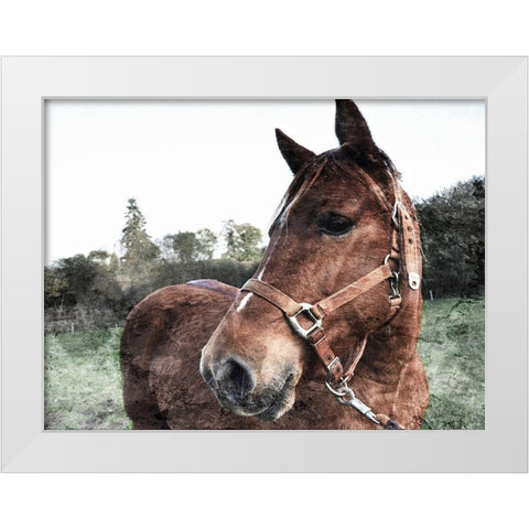 Horse Pose White Modern Wood Framed Art Print by Villa, Mlli