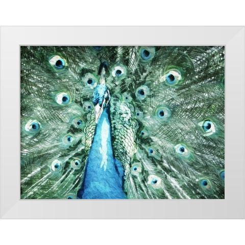 Looking Peacock White Modern Wood Framed Art Print by Villa, Mlli