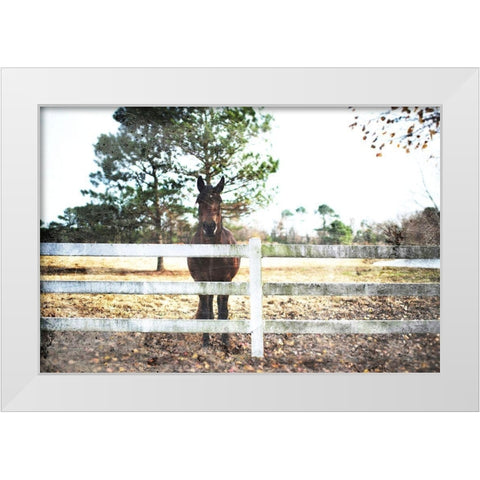 Waiting Horse White Modern Wood Framed Art Print by Villa, Mlli