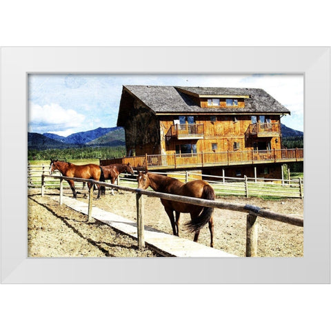 Horse Ranch White Modern Wood Framed Art Print by Villa, Mlli