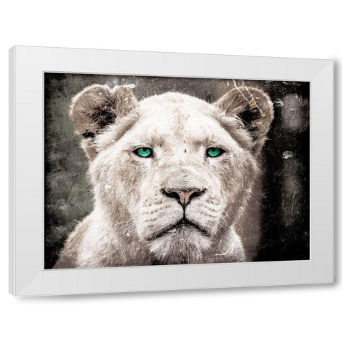 Lioness Look White Modern Wood Framed Art Print by Villa, Mlli