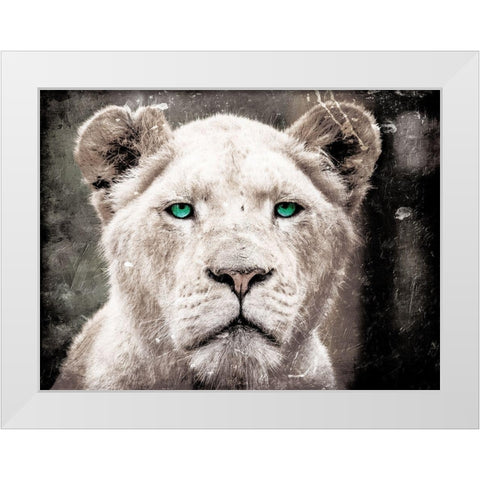 Lioness Look White Modern Wood Framed Art Print by Villa, Mlli