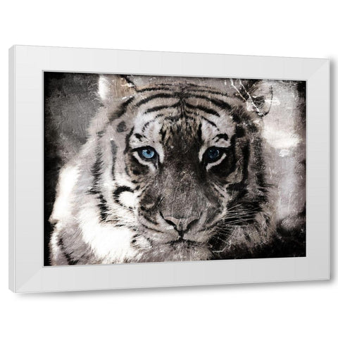 Tiger Look White Modern Wood Framed Art Print by Villa, Mlli