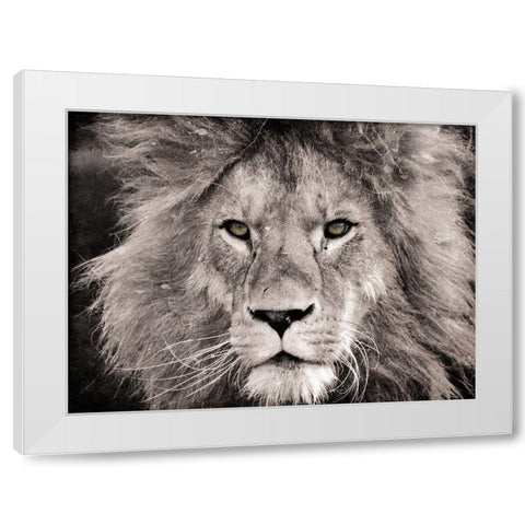 Lion Look White Modern Wood Framed Art Print by Villa, Mlli