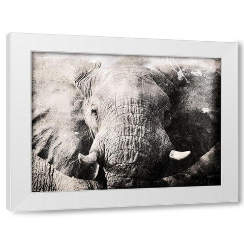 Elephant Look White Modern Wood Framed Art Print by Villa, Mlli