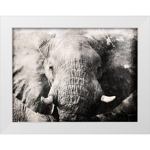 Elephant Look White Modern Wood Framed Art Print by Villa, Mlli