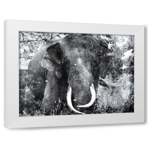 Elephant Look Two White Modern Wood Framed Art Print by Villa, Mlli