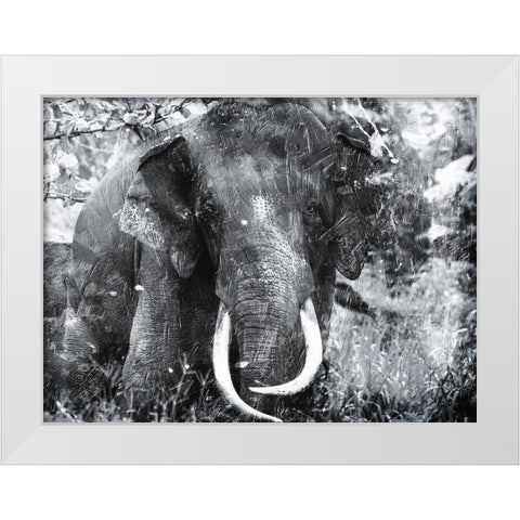 Elephant Look Two White Modern Wood Framed Art Print by Villa, Mlli