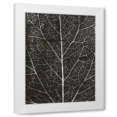 Charcoal Leaf Grain White Modern Wood Framed Art Print by Villa, Mlli