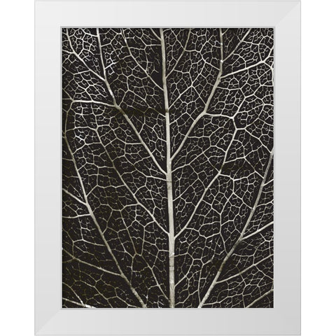 Charcoal Leaf Grain White Modern Wood Framed Art Print by Villa, Mlli