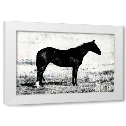 Horse Stance White Modern Wood Framed Art Print by Villa, Mlli