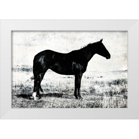 Horse Stance White Modern Wood Framed Art Print by Villa, Mlli