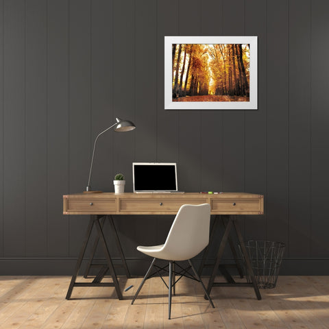 Fallow Your Path White Modern Wood Framed Art Print by Villa, Mlli