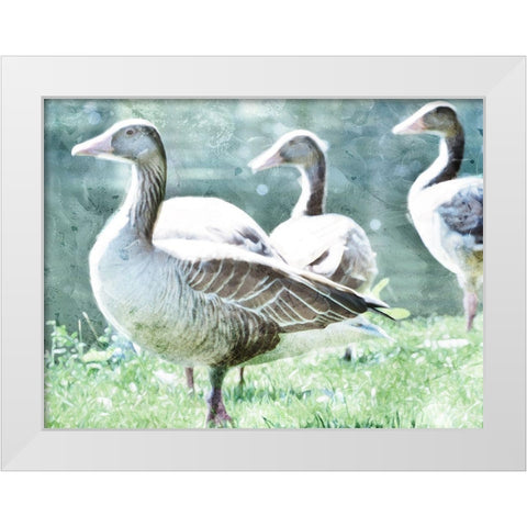 Goose Crew White Modern Wood Framed Art Print by Villa, Mlli