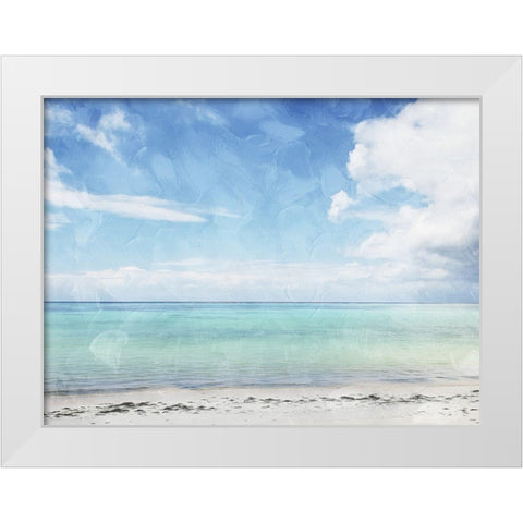 Sea Life White Modern Wood Framed Art Print by Villa, Mlli