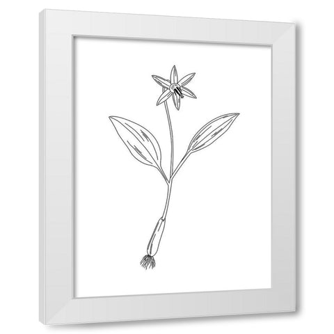 Clean Flowers White Modern Wood Framed Art Print by Villa, Mlli