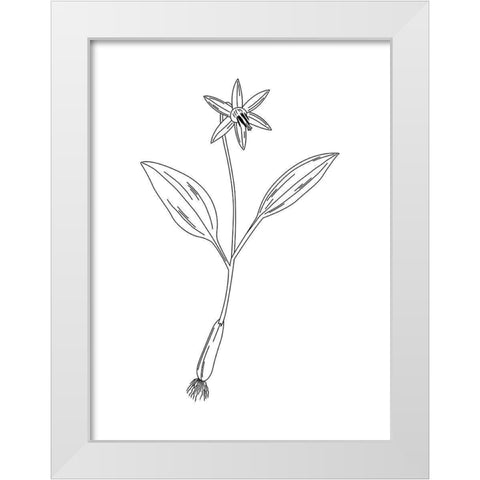 Clean Flowers White Modern Wood Framed Art Print by Villa, Mlli