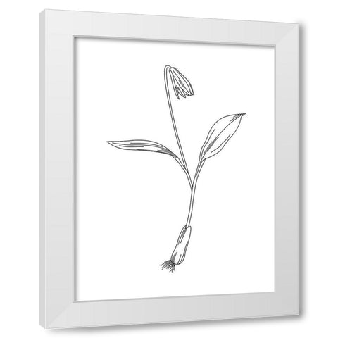 Clean Flowers Mate White Modern Wood Framed Art Print by Villa, Mlli