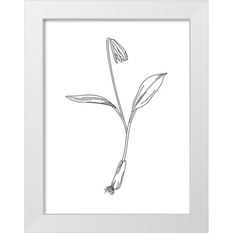 Clean Flowers Mate White Modern Wood Framed Art Print by Villa, Mlli