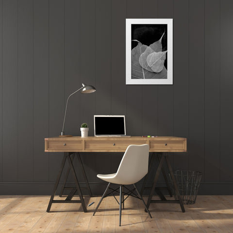 Leaves In The Dark White Modern Wood Framed Art Print by Villa, Mlli