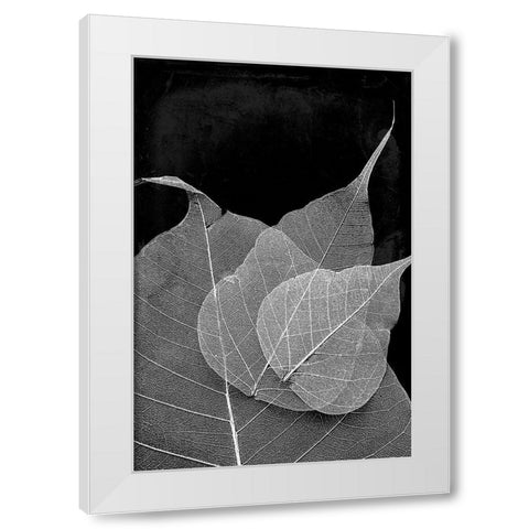 Leaves In The Dark White Modern Wood Framed Art Print by Villa, Mlli