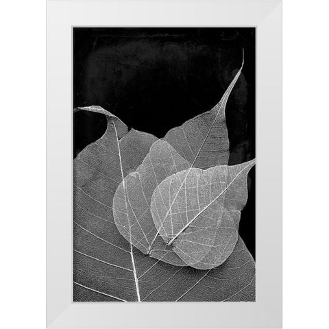 Leaves In The Dark White Modern Wood Framed Art Print by Villa, Mlli