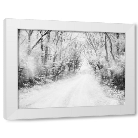 Snow Way White Modern Wood Framed Art Print by Villa, Mlli