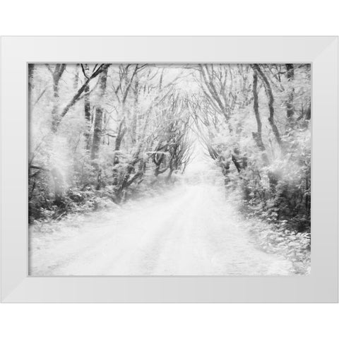 Snow Way White Modern Wood Framed Art Print by Villa, Mlli