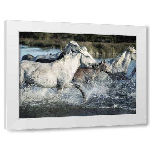 Running Horses White Modern Wood Framed Art Print by Villa, Milli
