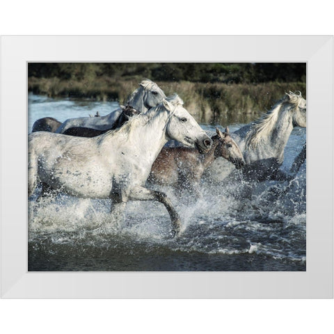 Running Horses White Modern Wood Framed Art Print by Villa, Milli