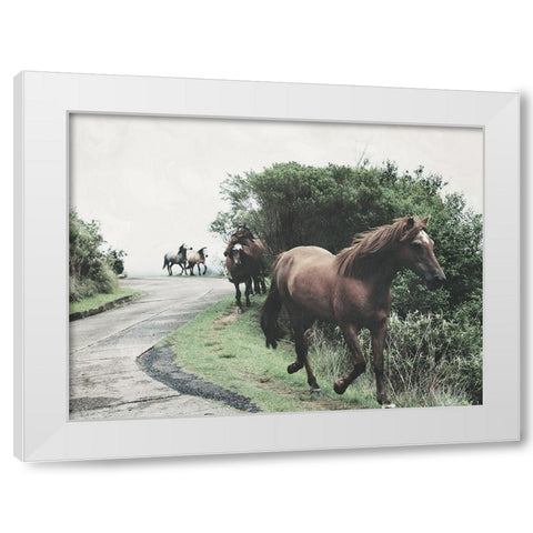 Horses Down The Street White Modern Wood Framed Art Print by Villa, Milli
