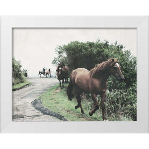 Horses Down The Street White Modern Wood Framed Art Print by Villa, Milli