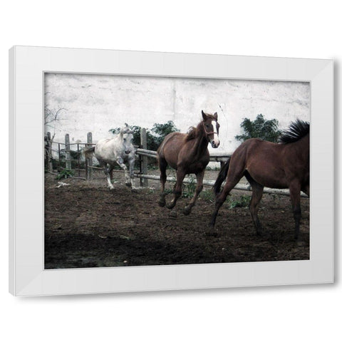 Horses Down The Dirt Road White Modern Wood Framed Art Print by Villa, Milli