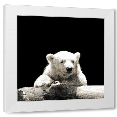 Polar Looks White Modern Wood Framed Art Print by Villa, Mlli