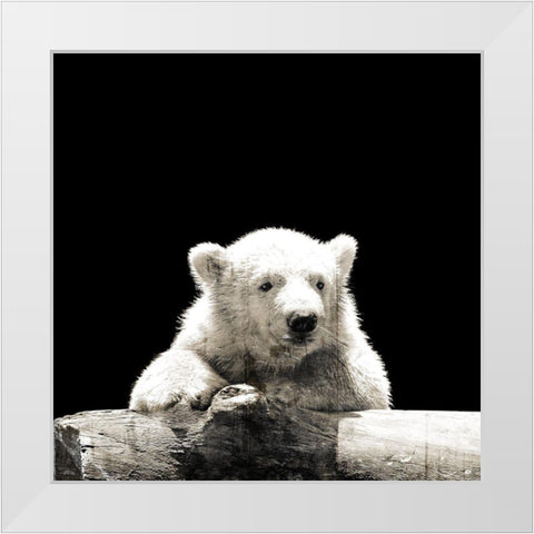 Polar Looks White Modern Wood Framed Art Print by Villa, Mlli