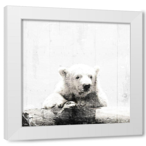 Polar Looks White White Modern Wood Framed Art Print by Villa, Mlli