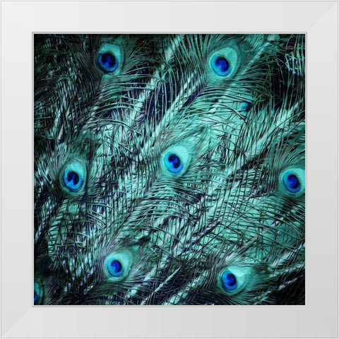 Peacock Spread White Modern Wood Framed Art Print by Villa, Mlli