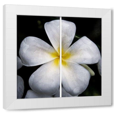 Smile White Modern Wood Framed Art Print by Villa, Mlli