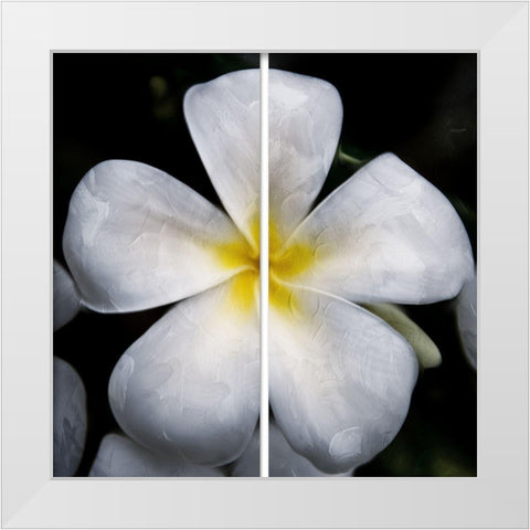 Smile White Modern Wood Framed Art Print by Villa, Mlli
