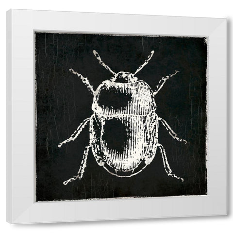 Bug Life Black White Modern Wood Framed Art Print by Villa, Mlli