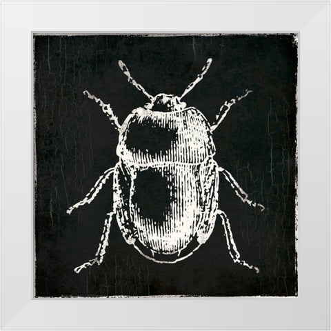 Bug Life Black White Modern Wood Framed Art Print by Villa, Mlli