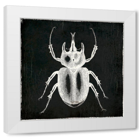 Bug Life Two Black White Modern Wood Framed Art Print by Villa, Mlli