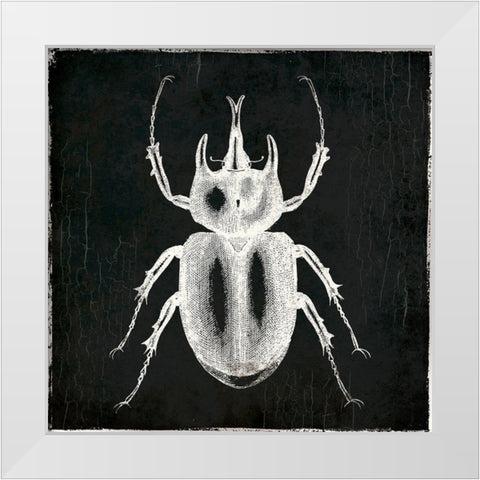 Bug Life Two Black White Modern Wood Framed Art Print by Villa, Mlli