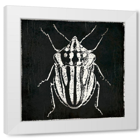 Bug Life Three Black White Modern Wood Framed Art Print by Villa, Mlli