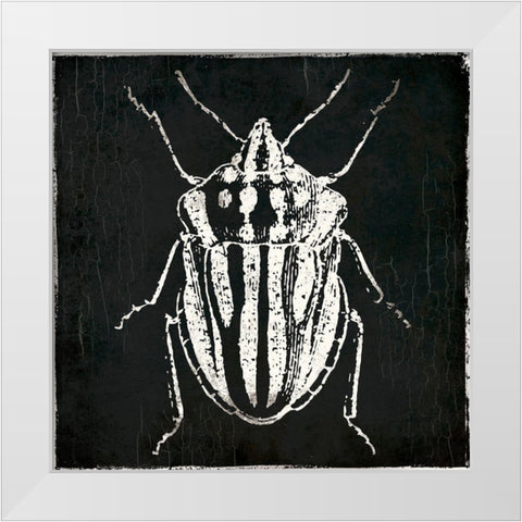 Bug Life Three Black White Modern Wood Framed Art Print by Villa, Mlli